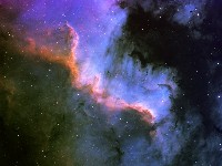 NGC 7000